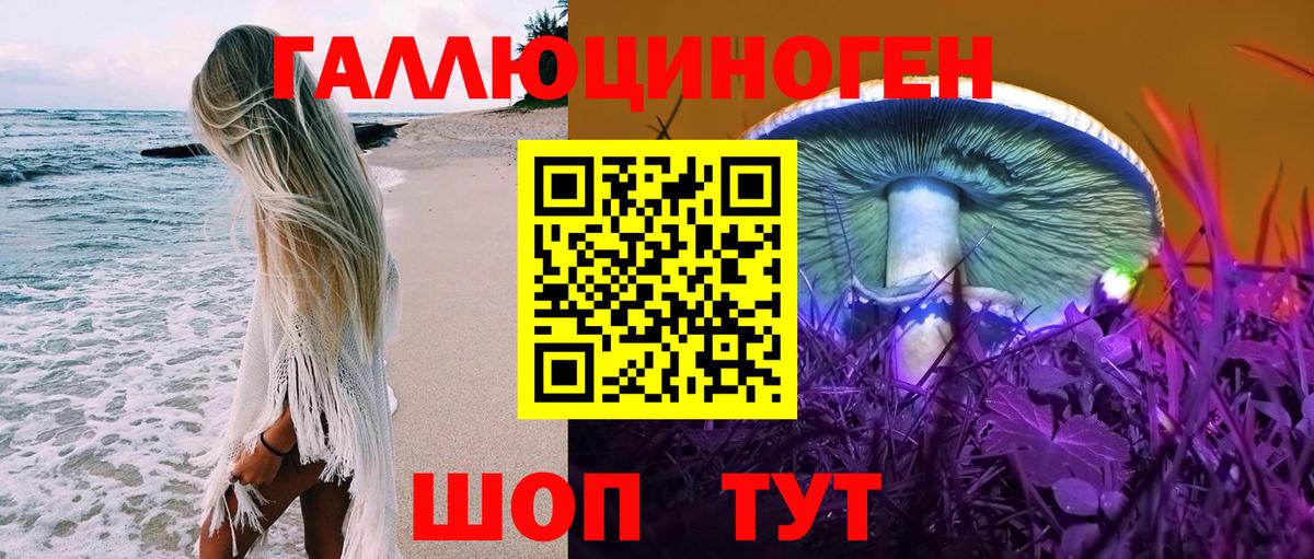 Псилоцибиновые грибы GOLDEN TEACHER  Псилоцибиновые грибы мицелий  Вход с VPN  Дубна 