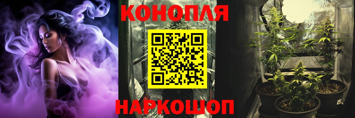 Дубна  Марихуана MAZAR  Марихуана сатива  Марихуана ГИДРОПОН  Вход с VPN 